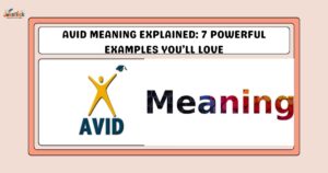 Avid Meaning