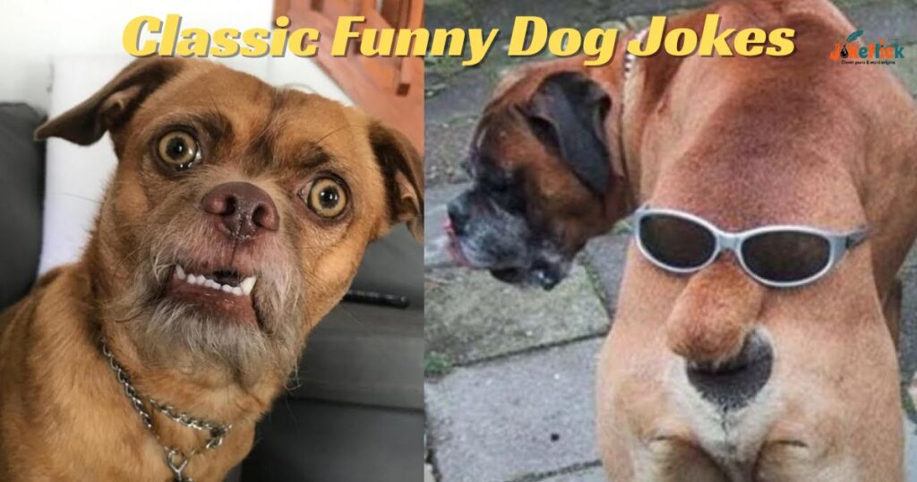 Classic Funny Dog Jokes