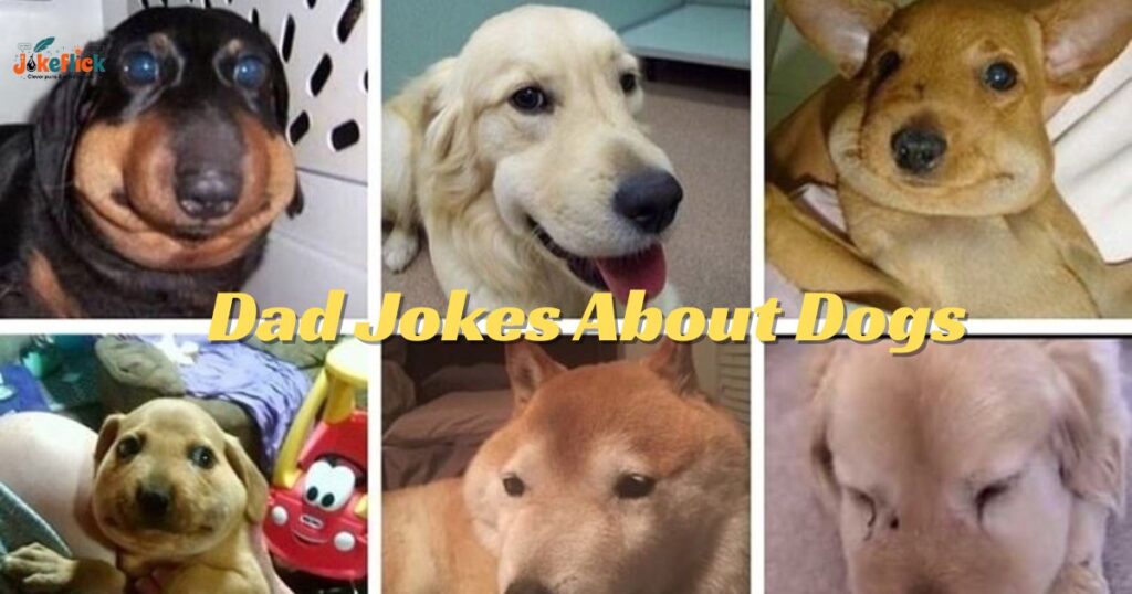 Dad Jokes About Dogs