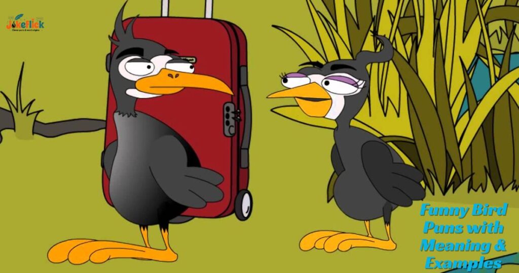 Funny Bird Puns with Meaning & Examples
